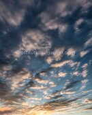 Анкета проститутки София - метро Беговой, возраст - 22